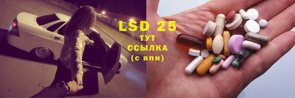прущие грибы Саяногорск