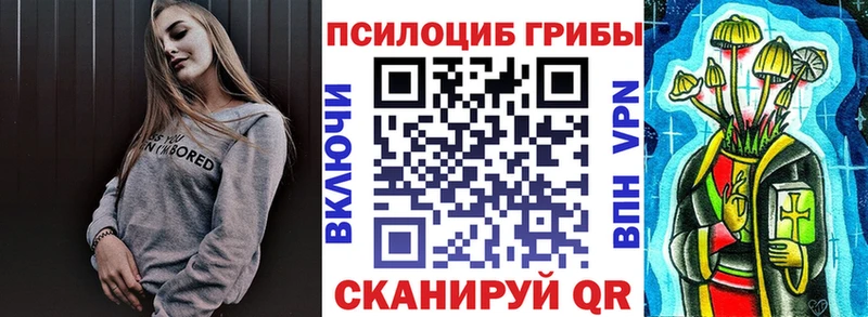 Галлюциногенные грибы Psilocybe  наркота  Томари 