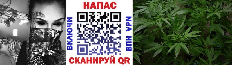 ссылка на мегу ССЫЛКА  закладка  Томари  Бошки марихуана семена 